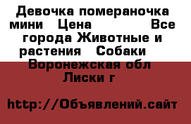 Девочка помераночка мини › Цена ­ 50 000 - Все города Животные и растения » Собаки   . Воронежская обл.,Лиски г.